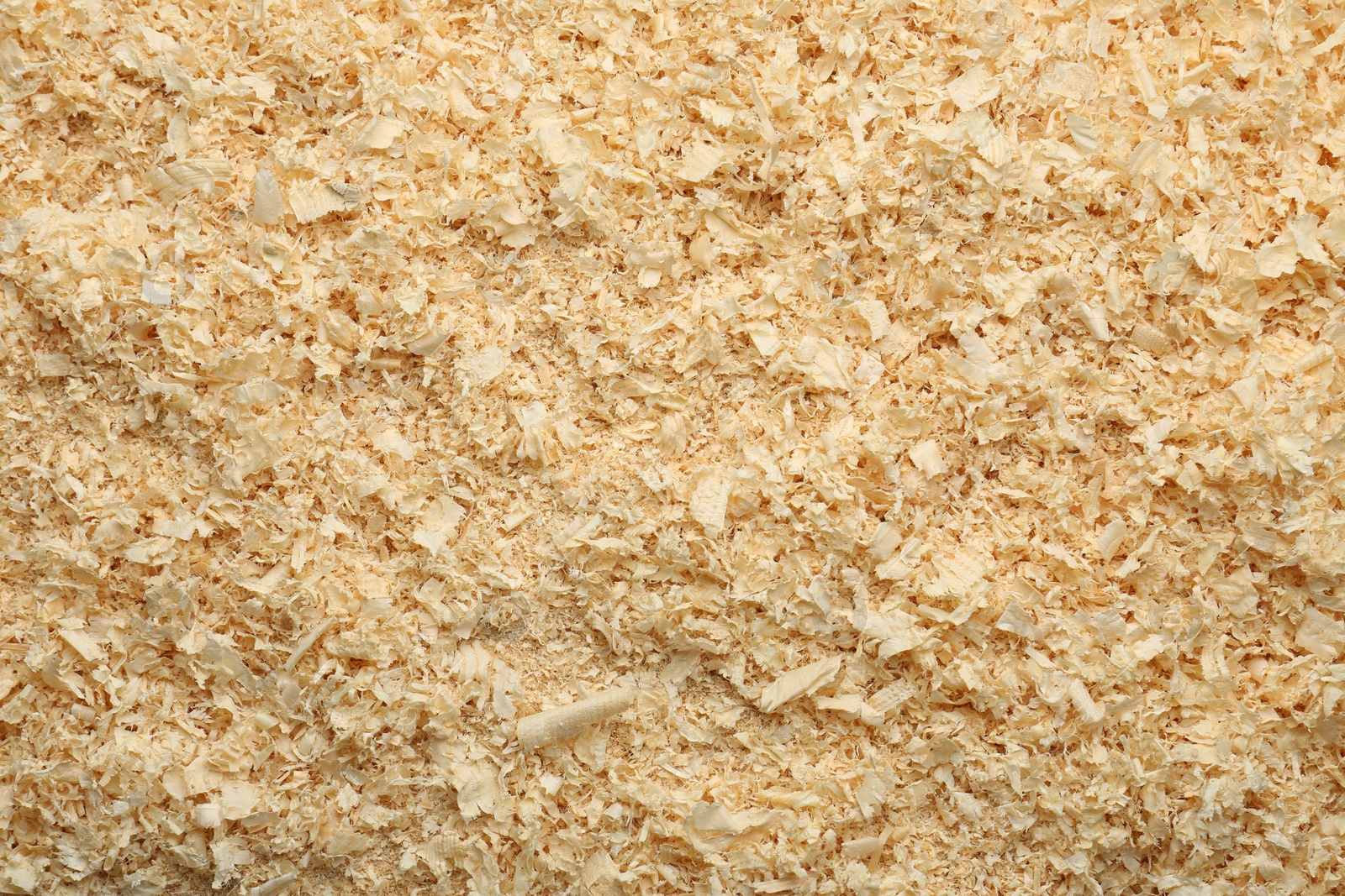 Photo of Dry natural sawdust as background, top view