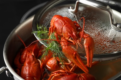 Fresh delicious crayfish over pot, closeup view
