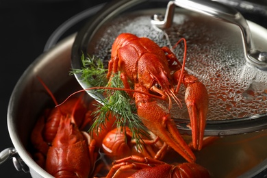 Photo of Fresh delicious crayfish over pot, closeup view