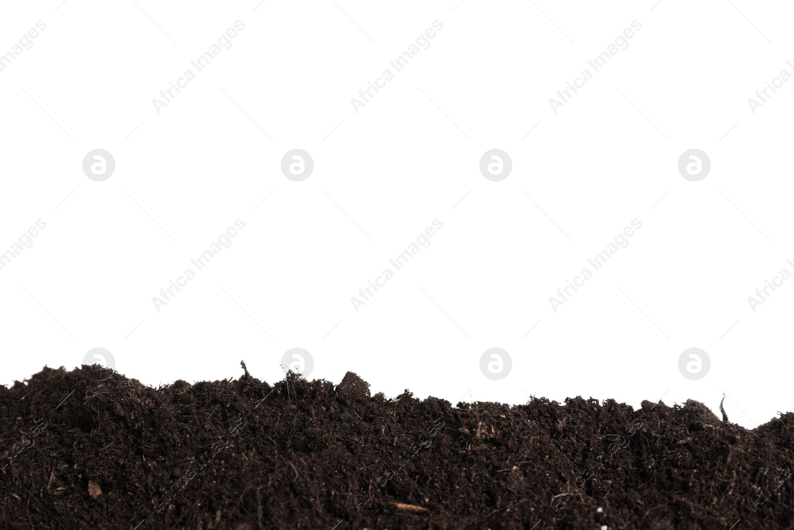 Photo of Layer of fresh soil isolated on white. Gardening time