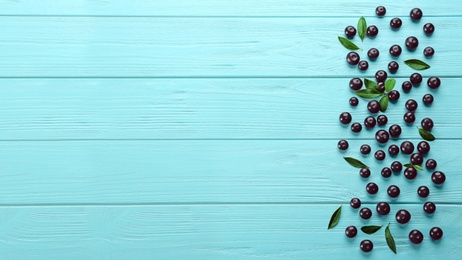 Fresh acai berries and green leaves on light blue wooden table, flat lay. Space for text