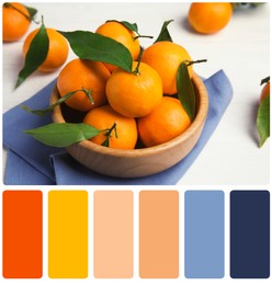 Image of Color matching palette. Fresh ripe tangerines in bowl on table