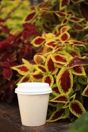 Cardboard cup with tasty coffee near beautiful flowers outdoors
