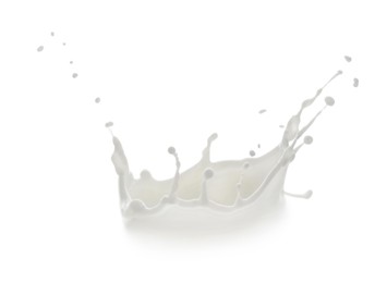 Splash of fresh milk on white background