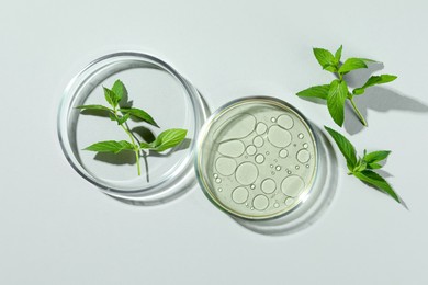 Flat lay composition with Petri dishes and plants on light grey background