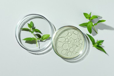 Photo of Flat lay composition with Petri dishes and plants on light grey background