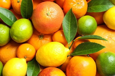 Different citrus fruits as background, top view