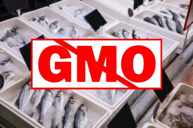 Image of GMO free products. Blurred view of fresh fish on display with ice at wholesale market