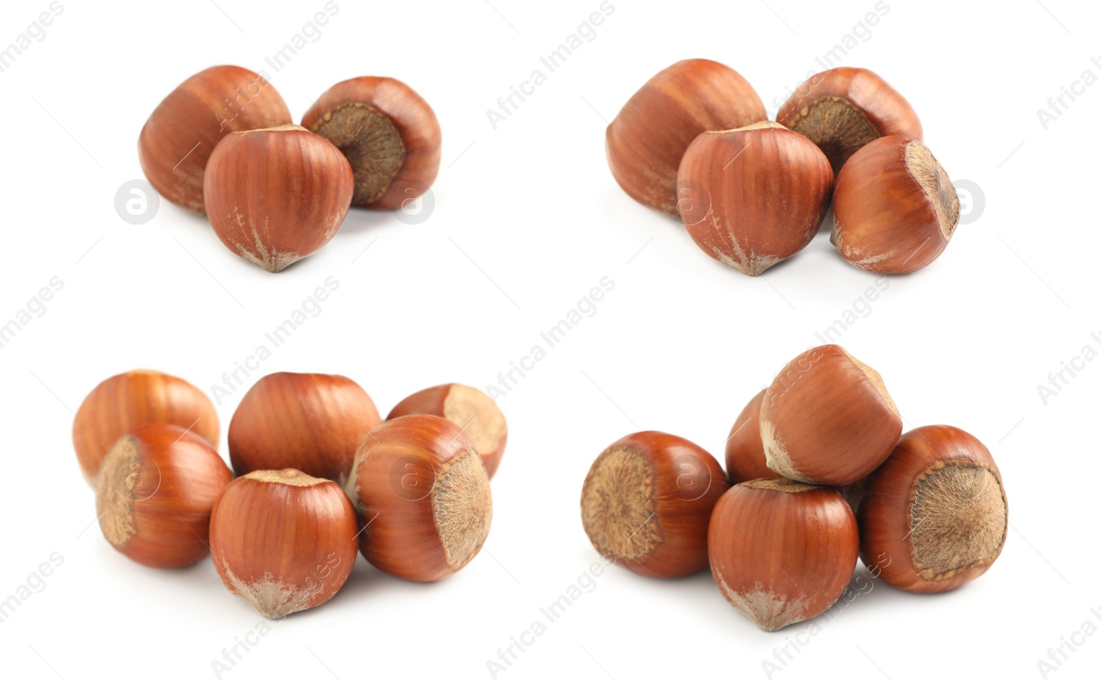 Image of Set with tasty hazelnuts on white background 