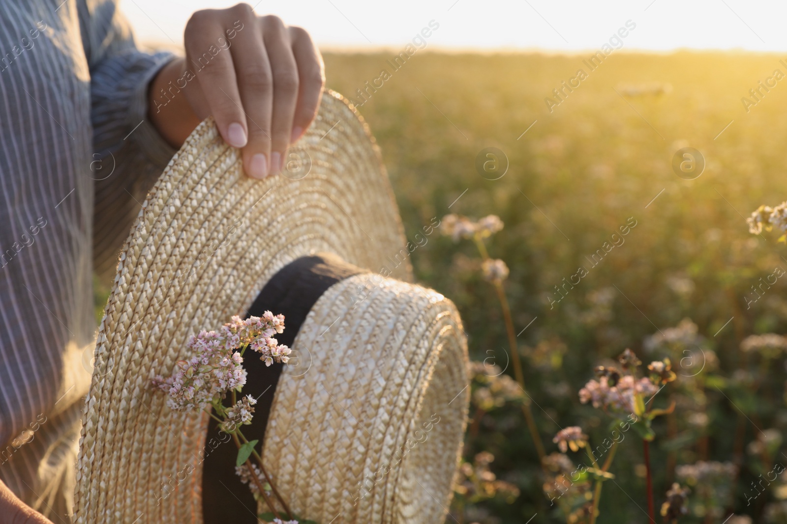 Photo of Woman with hat in beautiful blossoming buckwheat field, closeup