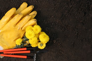 Gardening tools, gloves and flowers on fresh soil, flat lay. Space for text