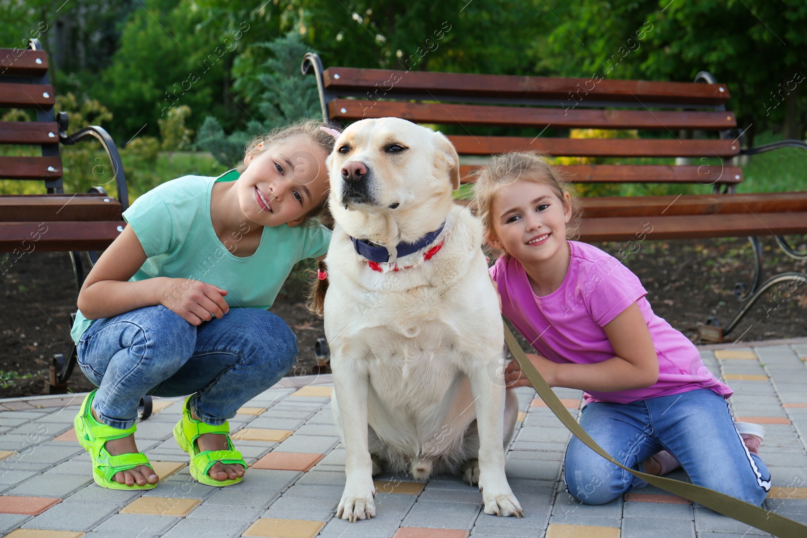 Photo of Cute little girls with dog in park