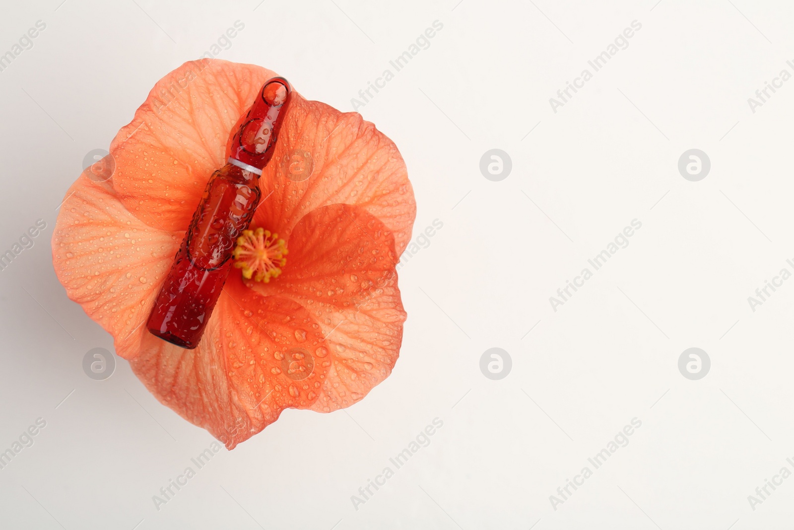 Photo of Skincare ampoules and hibiscus flower with water drops on white background, top view. Space for text