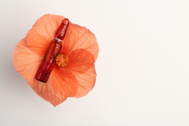 Skincare ampoules and hibiscus flower with water drops on white background, top view. Space for text