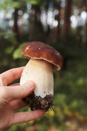 Photo of Woman holding porcini mushroom in forest, closeup