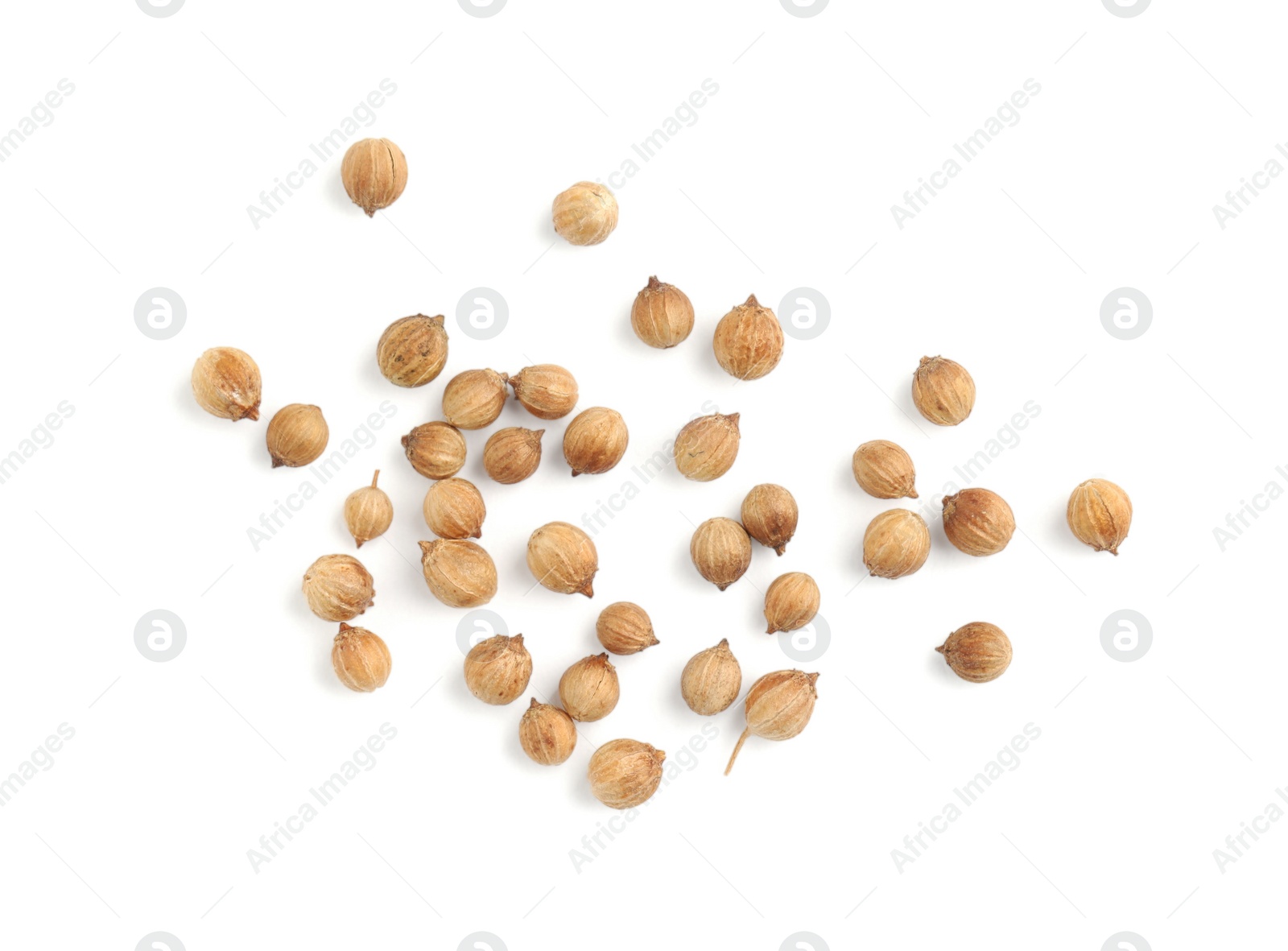 Photo of Scattered dried coriander seeds on white background, top view