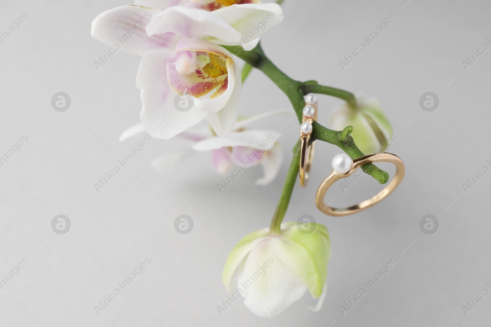 Photo of Elegant pearl rings and orchid flowers on white background, closeup