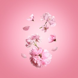 Image of Beautiful sakura tree flowers flying on pink background