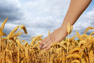 Man in wheat field under cloudy sky, closeup. Space for text