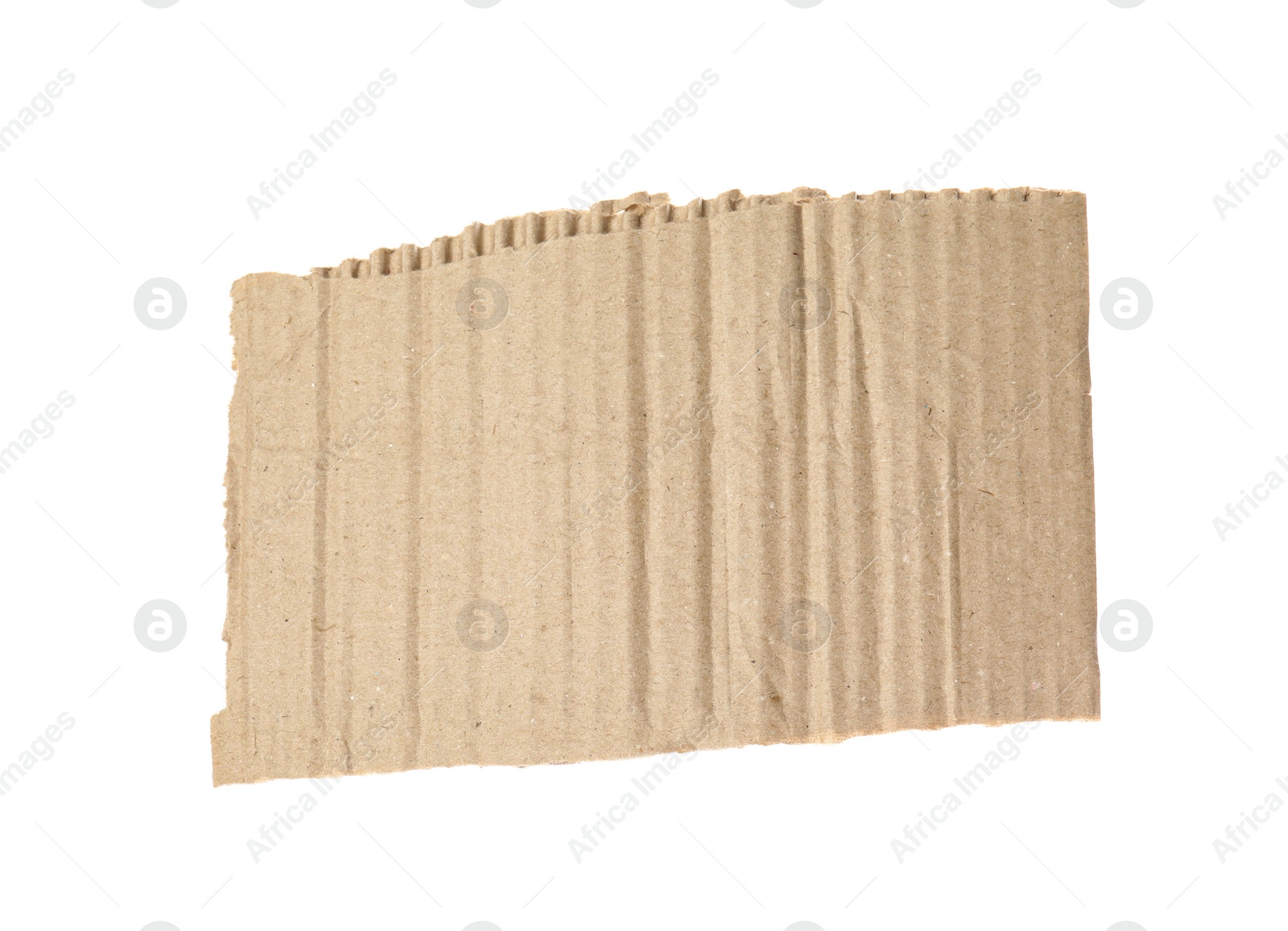Photo of Piece of torn cardboard isolated on white