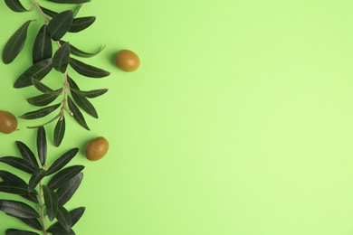 Fresh olives and leaves on light green background, flat lay. Space for text