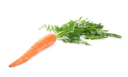 Photo of Fresh ripe carrot on white background. Wholesome vegetable