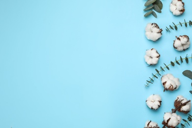 Photo of Flat lay composition with cotton flowers on blue background. Space for text