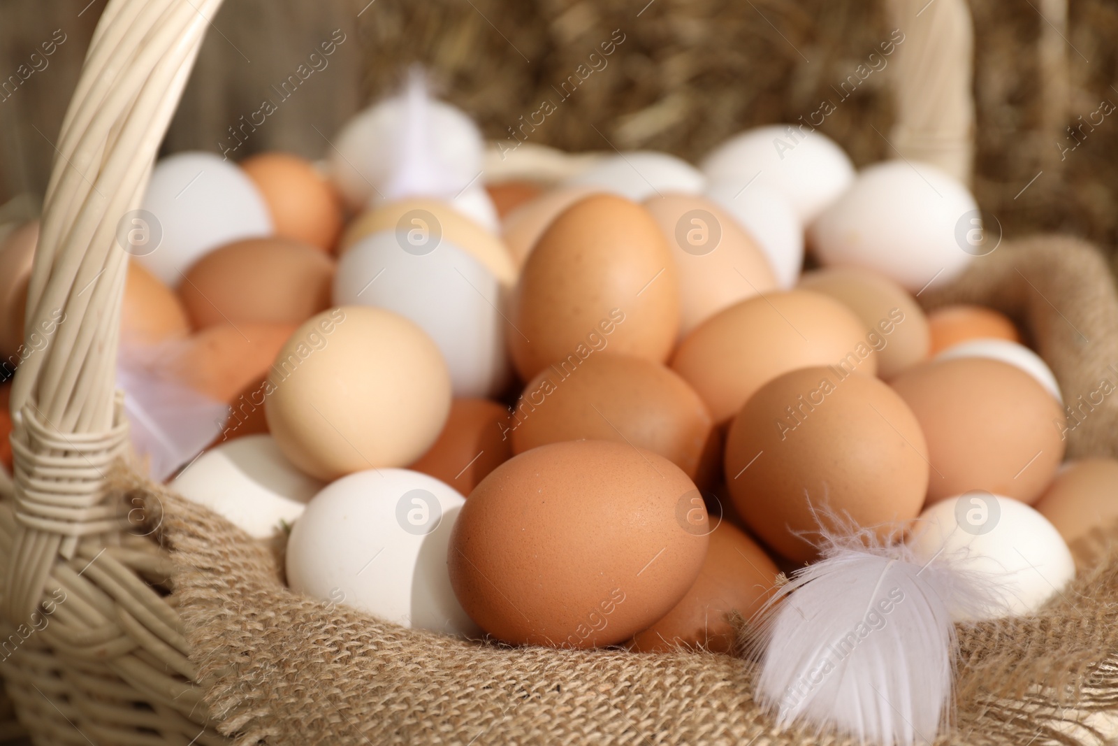 Photo of Fresh chicken eggs in wicker basket, closeup