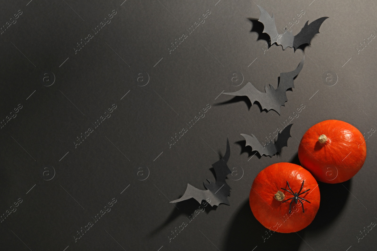 Photo of Flat lay composition with pumpkins, paper bats and spider on black background, space for text. Halloween decor