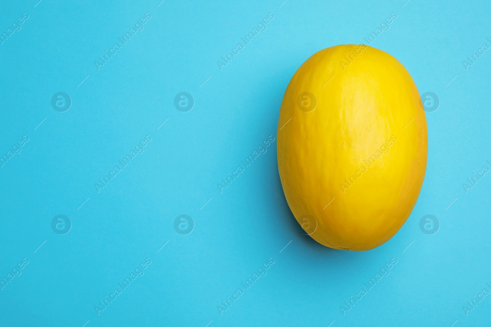 Photo of Whole ripe tasty melon on blue background, top view. Space for text