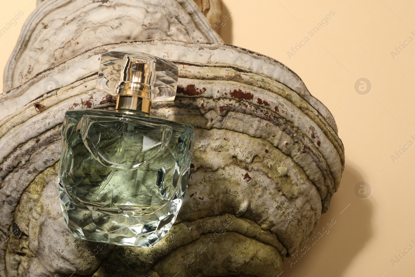 Photo of Luxury perfume in bottle and decorative element on beige background