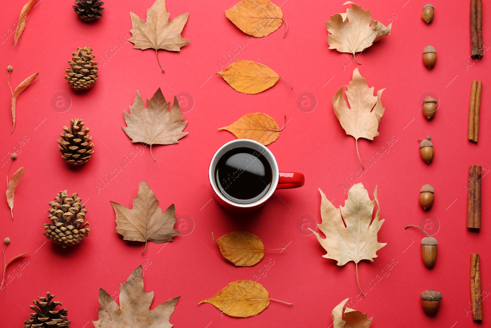 Photo of Flat lay composition with cup of hot drink on red background. Cozy autumn atmosphere