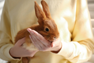 Young woman with adorable rabbit indoors, closeup. Lovely pet