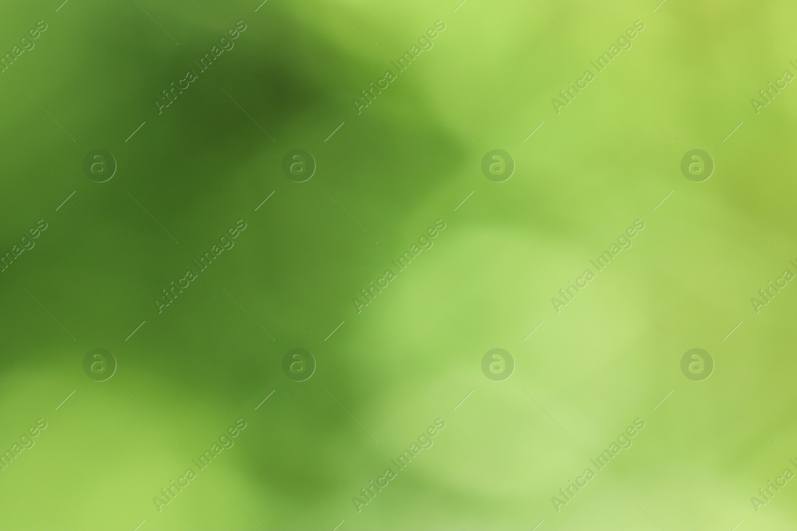 Photo of Blurred bright green background with bokeh effect. Macro photography