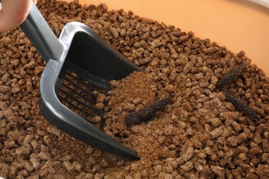 Person cleaning cat litter tray from poops, closeup