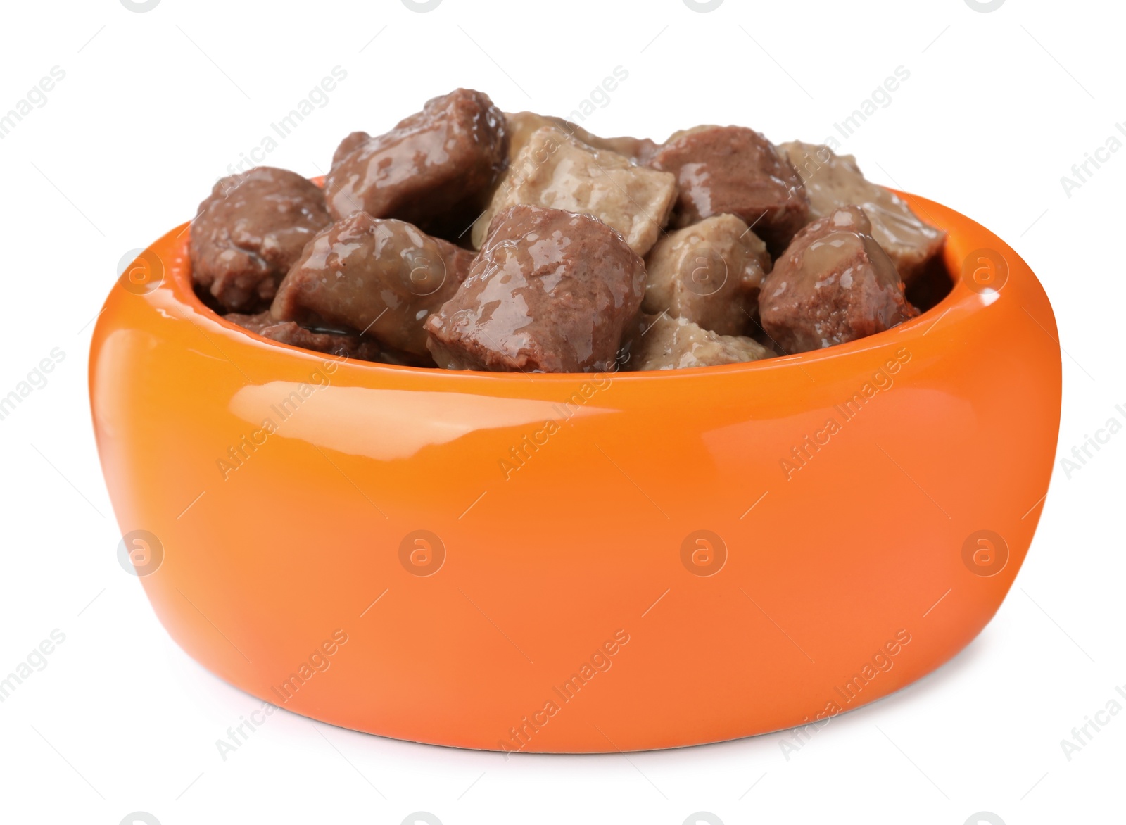 Photo of Wet pet food in feeding bowl isolated on white