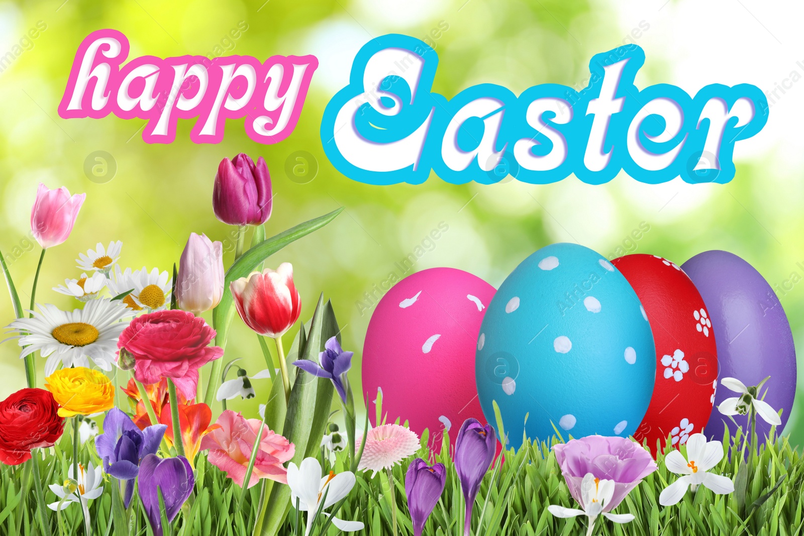 Image of Happy Easter. Bright eggs and spring flowers on green grass outdoors