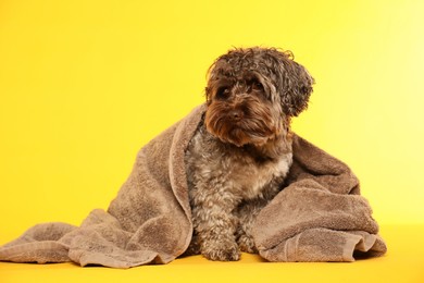 Photo of Cute dog with towel on yellow background