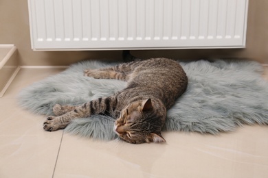 Photo of Cute tabby cat on faux fur rug near heating radiator indoors