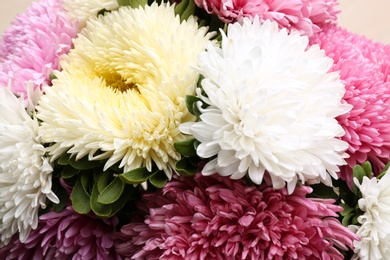 Beautiful fresh asters as background, closeup. Autumn flowers