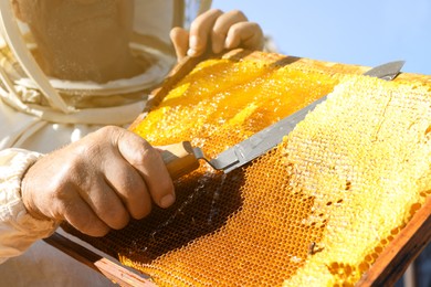 Photo of Senior beekeeper uncapping honeycomb frame with knife outdoors, closeup