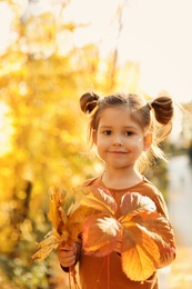 Cute little girl with leaves in sunny park. Autumn walk