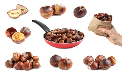 Collage with sweet roasted edible chestnuts isolated on white
