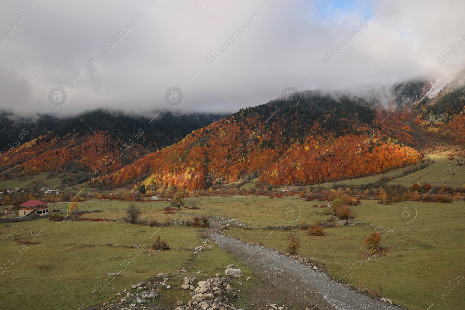 Photo of Picturesque landscape with forest and mountain village on autumn day