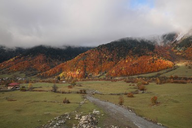 Picturesque landscape with forest and mountain village on autumn day