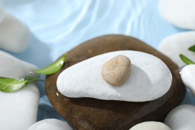 Photo of Spa stones and green leaves in water on light blue background, closeup