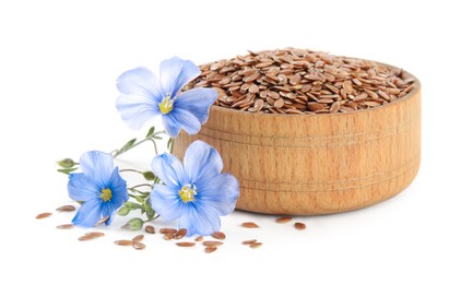 Photo of Flax flowers and seeds on white background