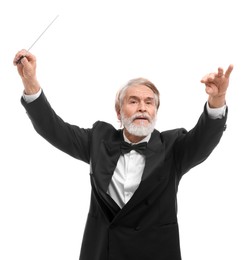 Photo of Professional conductor with baton on white background