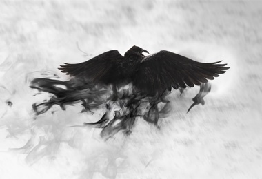 Image of Black raven flying through mist, fantasy image