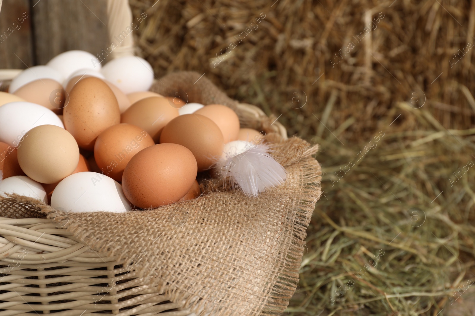 Photo of Fresh chicken eggs in wicker basket on blurred background, closeup. Space for text
